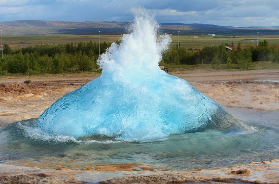 Los vikingos acabaron con las morsas en Islandia